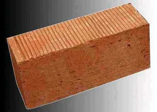 Wirecut bricks